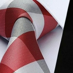 REED PLAID PODIUM~TIE & SQUAREZ SET